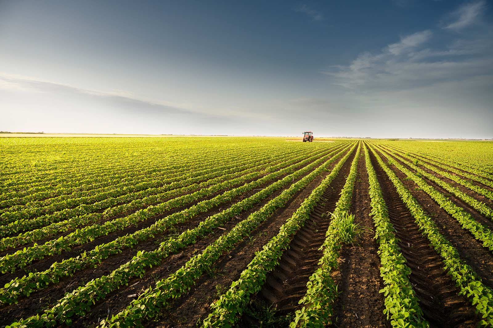 Ohio Farm Land with Crops and Tractor