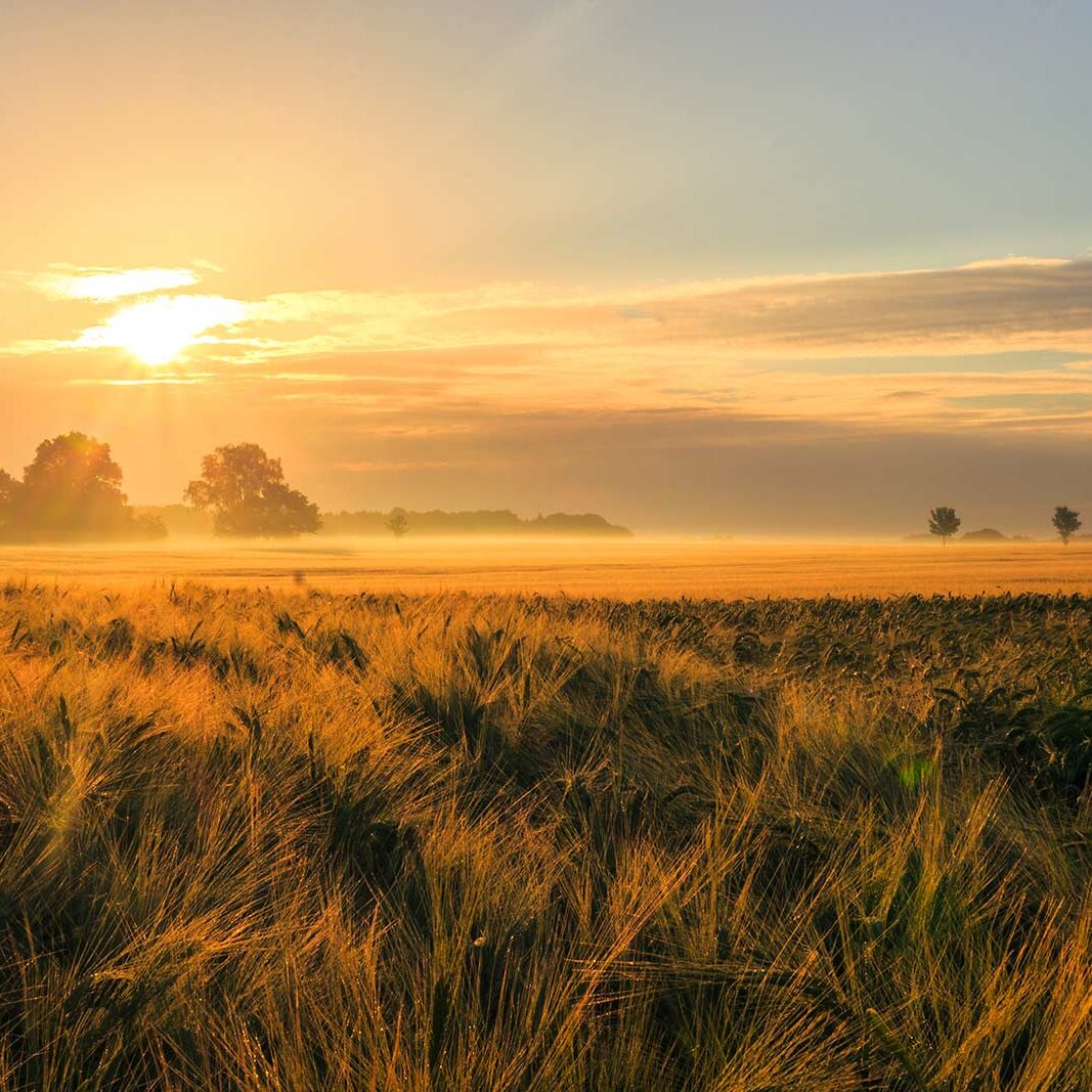 Ohio Land Ownership Sunset Goals